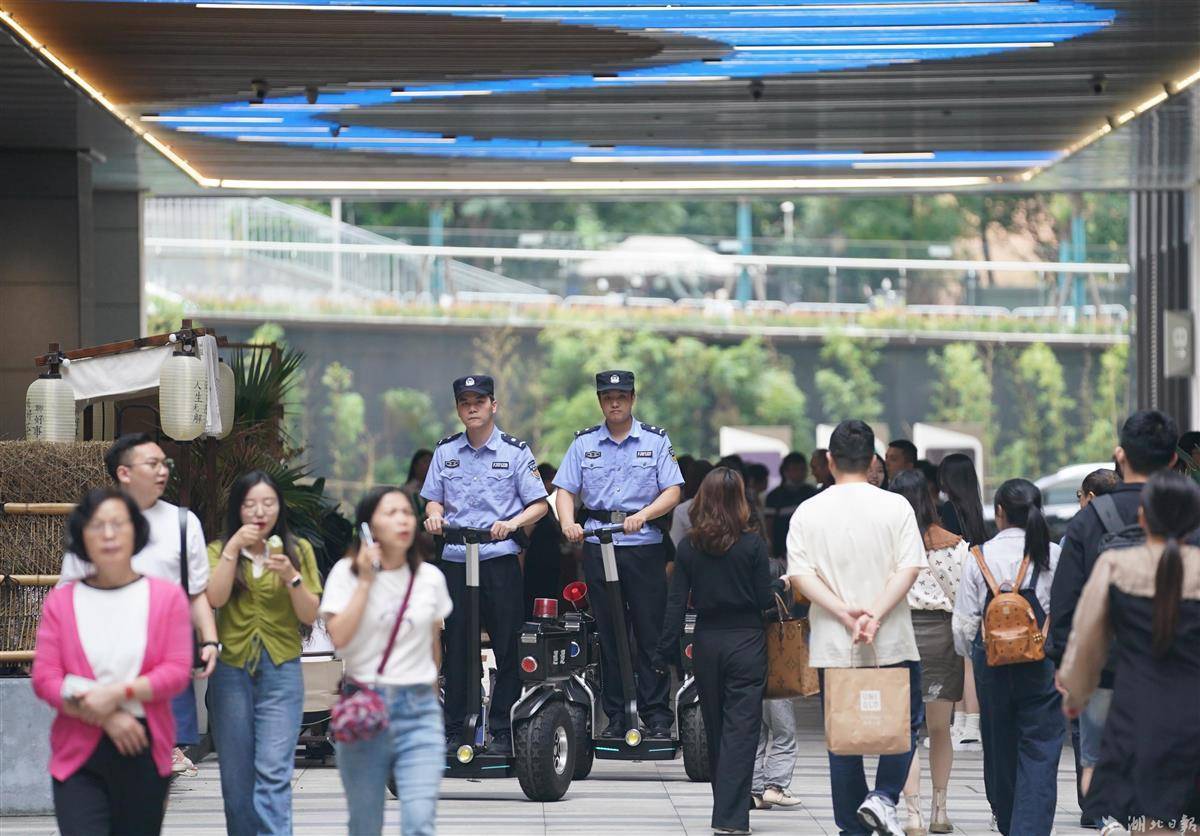 现金白菜网平台
